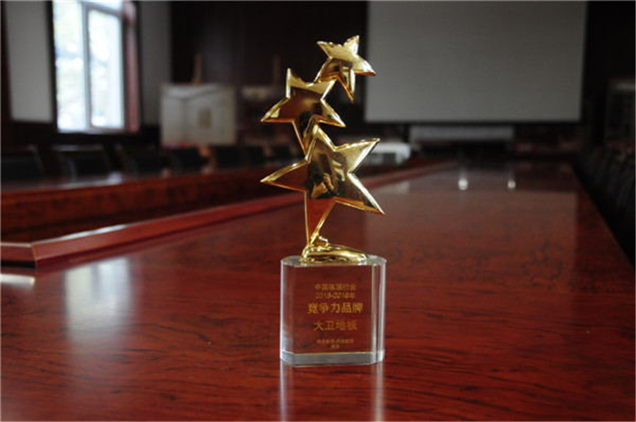 大衛(wèi)地板榮膺“中國家居行業(yè)2015-2016年競爭力品牌”.jpg