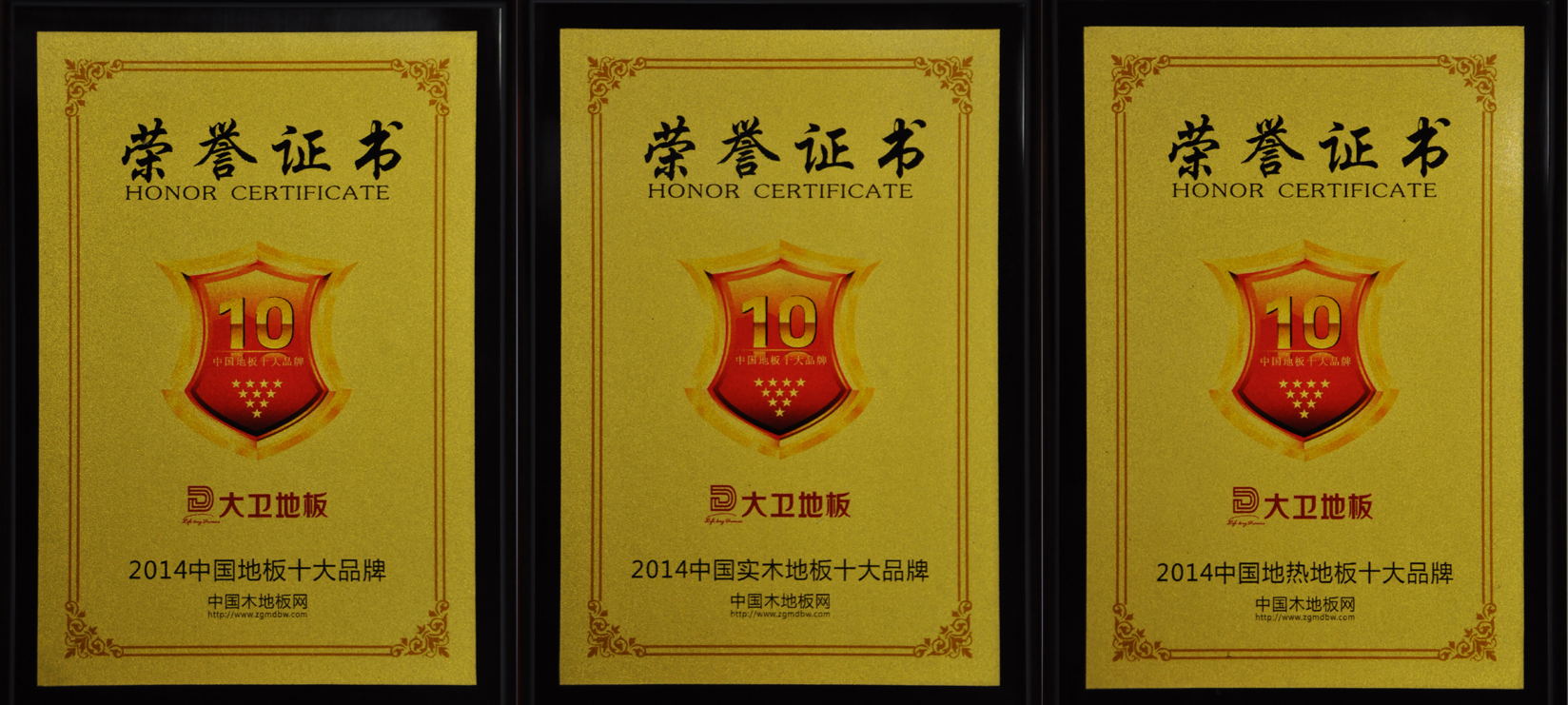中國地板十大品牌大衛(wèi)地板斬獲3項榮譽(1).jpg